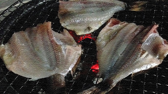 初心者でも安心の堤防五目釣り！釣った魚は干物にして食す