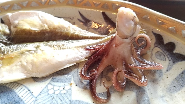 イイダコ釣り!堤防から簡単に釣れて初心者にもおすすめ! イイダコ釣り!堤防から簡単に釣れて初心者にもおすすめ!