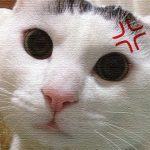 立石仲見世にある蕎麦屋『土日庵』酒を楽しんだ後の〆のそば