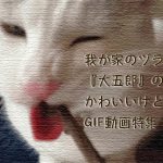 豊川稲荷東京別院に参拝　茶屋『美吉』でいただくいなり寿司