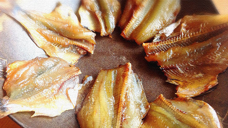 千葉県の内房への釣行！釣った魚を一夜干しにして七輪でいただく