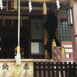我が家のヅラ猫大五郎が『天然ねこ生活』に掲載されました！