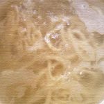 【感謝】当ブログを始めて半年経って気付いたこと