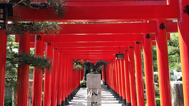 香川県高松「田村神社」美しい鳥居と境内とみずみくじ初体験