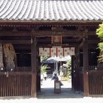 高松空港内「さぬき麺業」のうどんが空港でも納得の旨さ【香川旅行】