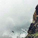 人生を楽しいものにすることに時間を使いたいんだ
