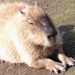 ブログを続けるモチベーションについて綴ってみる