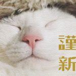 Wordpressをやめて『はてなブログ』へ移行した目的【新年の抱負】 Wordpressをやめて『はてなブログ』へ移行した目的【新年の抱負】