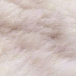 【セメントワーク】雑草用のプランターや葉っぱ的なものを作っています