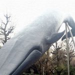 上野公園にある重要文化財 寛永寺清水観音堂の『月の松』