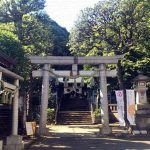 もしもの時、ヅラネコといっしょに逃げてもいいのかな？