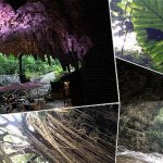 松山公園散歩→ニコニコレンタカー那覇前島店！朝食は弁当【沖縄旅行】