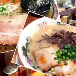 仕事を放棄するヅラネコ。我が家はまったく守られていない！