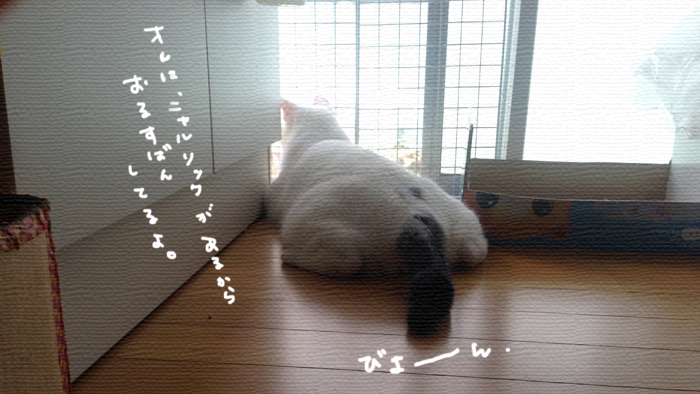 暑い日はテラデマルシェで夕涼み。手作り市のおしらせ! 暑い日はテラデマルシェで夕涼み。手作り市のおしらせ!