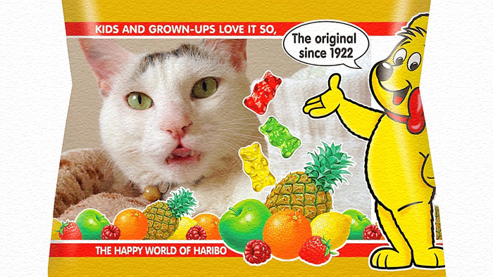 写真+フレームでオリジナルHARIBOを完成してみよう! 写真+フレームでオリジナルHARIBOを完成してみよう!