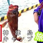 ジギングでアカハタにエソ!刺身に唐揚げで釣りメシだ|神津島釣りキャンプ ジギングでアカハタにエソ!刺身に唐揚げで釣りメシだ|神津島釣りキャンプ