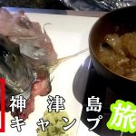 贅沢釣りメシ!ナンヨウカイワリの姿造り・ブダイのべっこう漬けにサバの塩焼き!|神津島釣りキャンプ 贅沢釣りメシ!ナンヨウカイワリの姿造り・ブダイのべっこう漬けにサバの塩焼き!|神津島釣りキャンプ