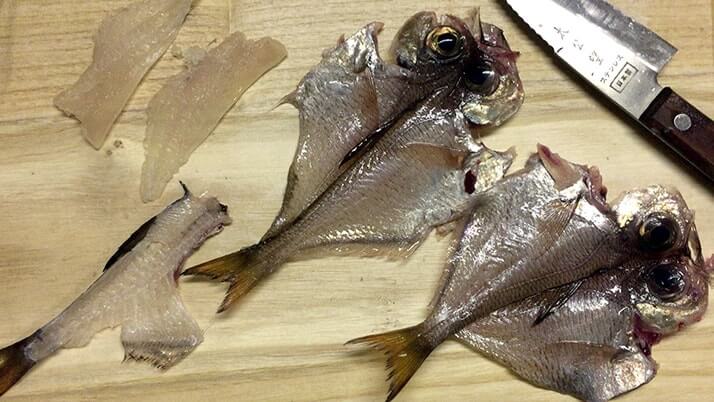 ハタンポで釣りメシ!ハタンポの刺身&塩焼きが絶品すぎた【神津島釣りキャンプ】 ハタンポで釣りメシ!ハタンポの刺身&塩焼きが絶品すぎた【神津島釣りキャンプ】