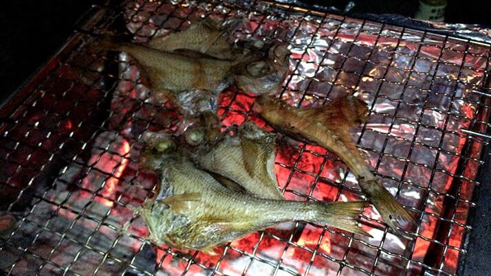ハタンポで釣りメシ!ハタンポの刺身&塩焼きが絶品すぎた【神津島釣りキャンプ】 ハタンポで釣りメシ!ハタンポの刺身&塩焼きが絶品すぎた【神津島釣りキャンプ】