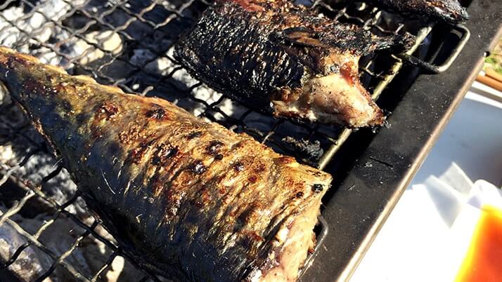 釣った魚を干物に!釣りキャンプで干物作りおすすめです 釣った魚を干物に!釣りキャンプで干物作りおすすめです