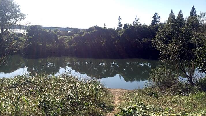ママチャリ70km激走の旅！葛飾から自転車で荒川を辿り上流にどこまで行けるか（第1章）