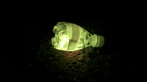 茨城県鹿嶋で堤防夜釣り!秋の釣果はアイナメに小サバ・アジなど 茨城県鹿嶋で堤防夜釣り!秋の釣果はアイナメに小サバ・アジなど