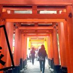 京都「伏見稲荷大社」無数の鳥居が並ぶパワースポット