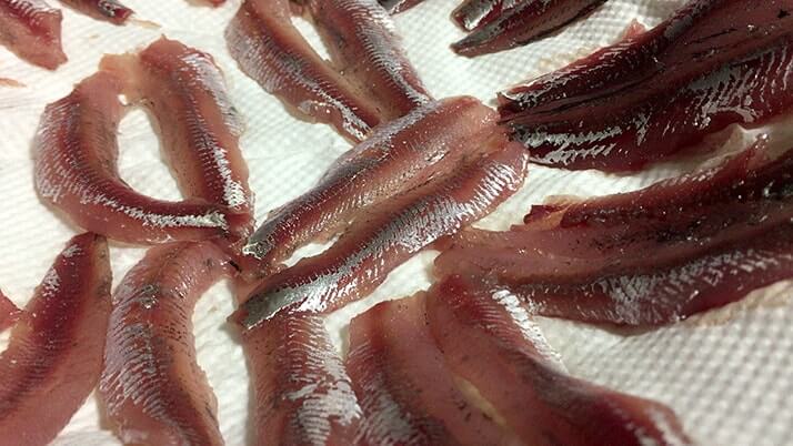 釣ったウルメイワシで手毬寿司に巻き寿司!刺身に天ぷらもつけたフルコース! 釣ったウルメイワシで手毬寿司に巻き寿司!刺身に天ぷらもつけたフルコース!