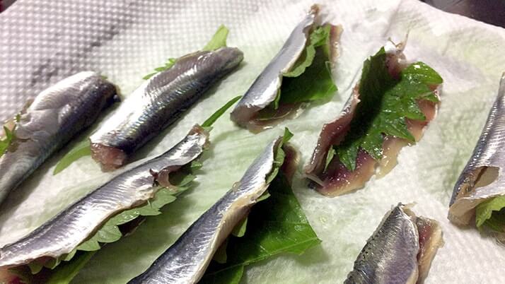 釣ったウルメイワシで手毬寿司に巻き寿司!刺身に天ぷらもつけたフルコース! 釣ったウルメイワシで手毬寿司に巻き寿司!刺身に天ぷらもつけたフルコース!