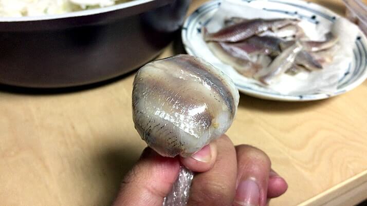 釣ったウルメイワシで手毬寿司に巻き寿司!刺身に天ぷらもつけたフルコース! 釣ったウルメイワシで手毬寿司に巻き寿司!刺身に天ぷらもつけたフルコース!
