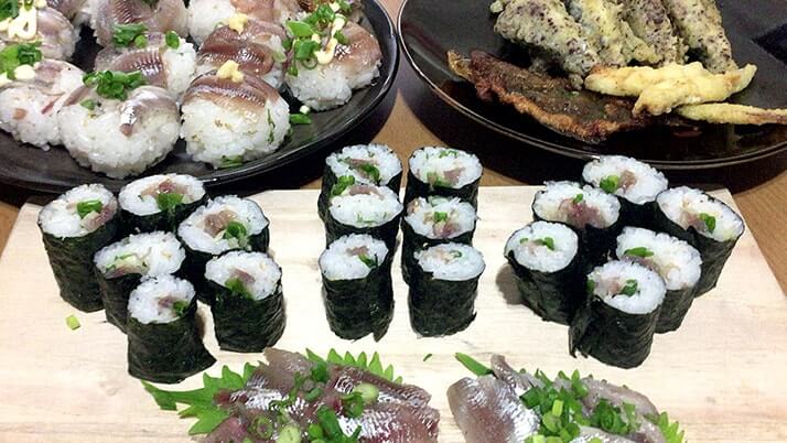 釣ったウルメイワシで手毬寿司に巻き寿司!刺身に天ぷらもつけたフルコース! 釣ったウルメイワシで手毬寿司に巻き寿司!刺身に天ぷらもつけたフルコース!