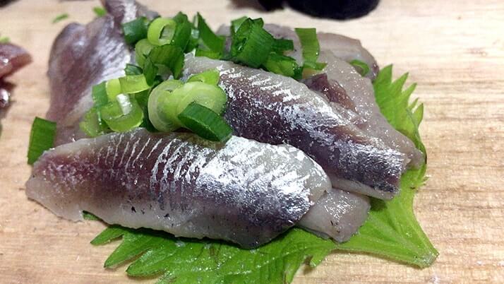 釣ったウルメイワシで手毬寿司に巻き寿司!刺身に天ぷらもつけたフルコース! 釣ったウルメイワシで手毬寿司に巻き寿司!刺身に天ぷらもつけたフルコース!
