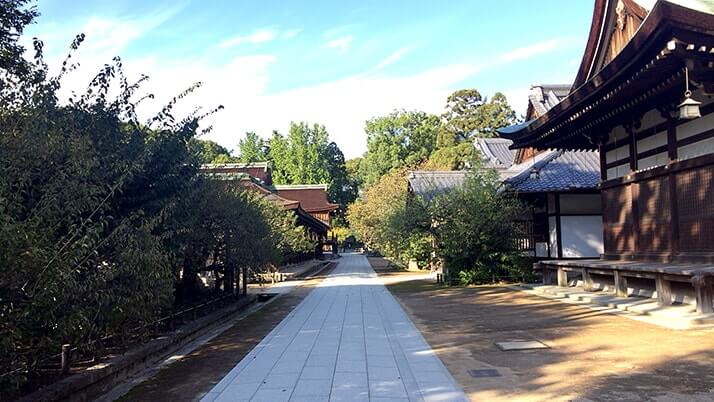 北野天満宮｜菅原道真を主祭神とした学問の神社【京都旅行】