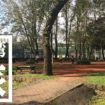 台北朝市｜ガイドブックに載っていない青年公園前朝市がオススメ！【台湾旅行】