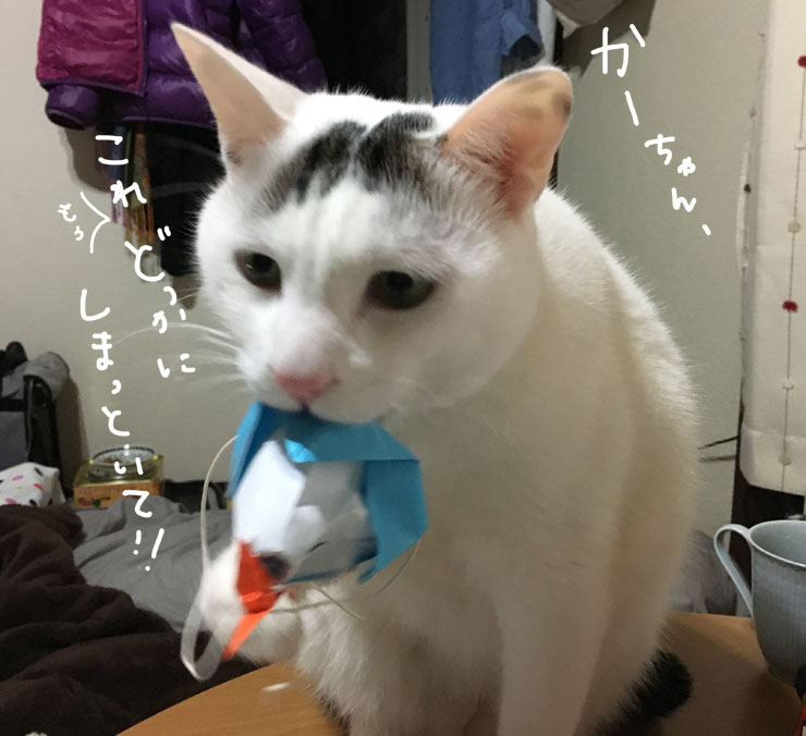 年が明けてヅラねこがヅラをかぶったら…。