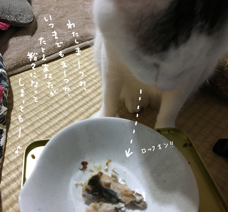 暖かくなったらヅラネコのご飯を釣りに行くぞ！