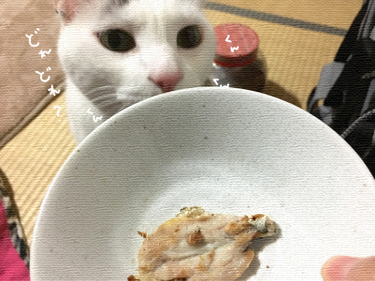 暖かくなったらヅラネコのご飯を釣りに行くぞ！