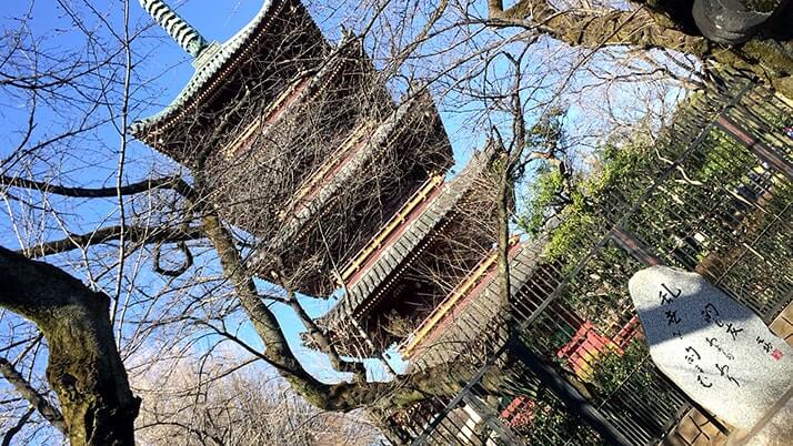 唐門に銅燈籠…上野東照宮は無料区域だけでも必見の場所