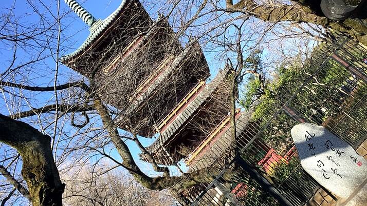 唐門に銅燈籠…上野東照宮は無料区域だけでも見所の多い神社