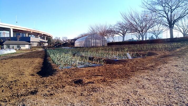 足立の都市農業公園｜古民家・熱帯温室もある家族連れにおすすめの公園