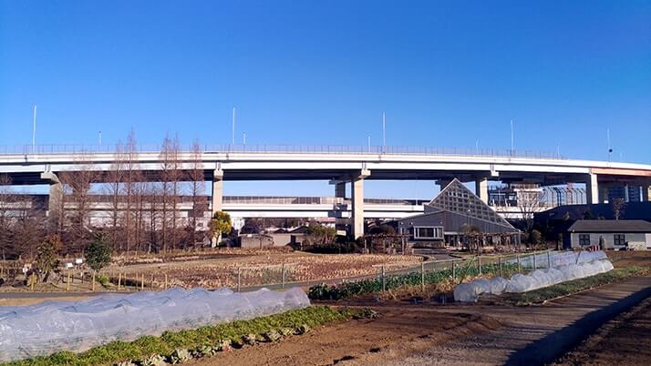 足立の都市農業公園｜古民家・熱帯温室もある家族連れにおすすめの公園