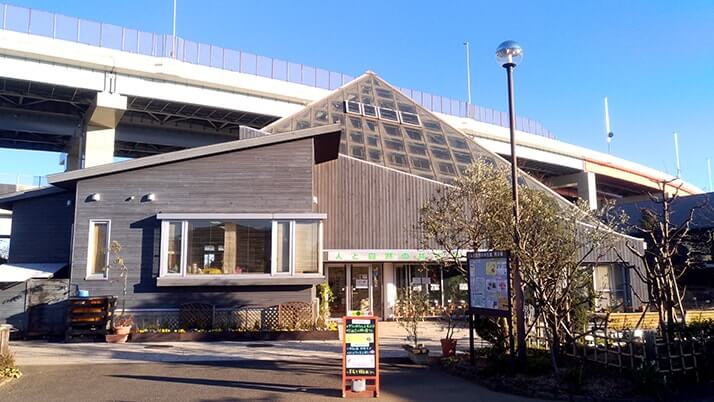 足立の都市農業公園｜古民家・熱帯温室もある家族連れにおすすめの公園