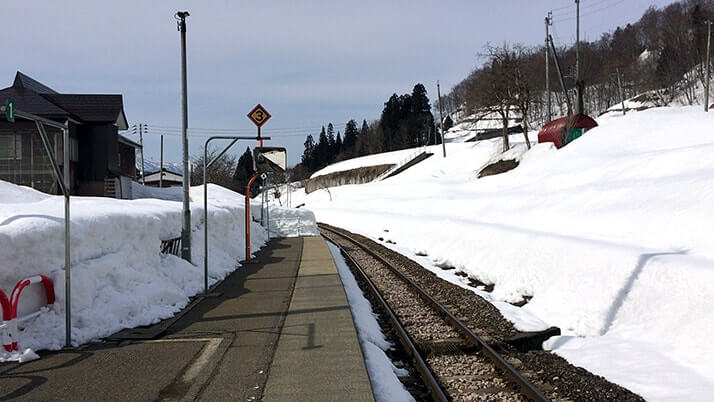 背の丈ほどの雪が残る津南町の信濃川沿いを散歩【新潟旅行】