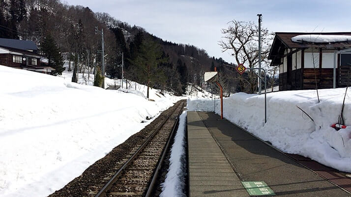 背の丈ほどの雪が残る津南町の信濃川沿いを散歩【新潟旅行】