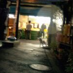 散歩するように暮らしていたい