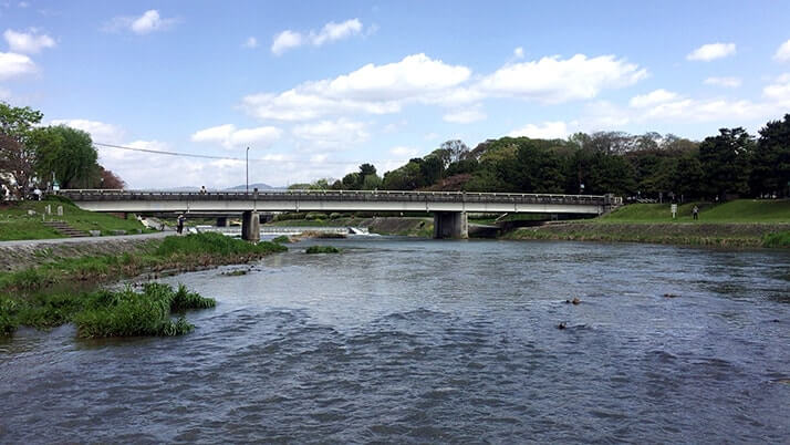 京都でレンタサイクル！えむじかで自転車を借りて鴨川沿いをサイクリング！