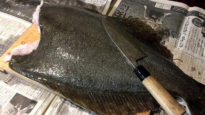 釣った特大ヒラメをさばく!刺身と寿司にして肝醤油で堪能 釣った特大ヒラメをさばく!刺身と寿司にして肝醤油で堪能
