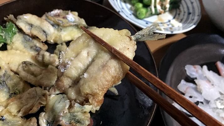 釣ったヒラメの薄造り・潮汁と小サバの天ぷら…〆はヒラメ茶漬け! 釣ったヒラメの薄造り・潮汁と小サバの天ぷら…〆はヒラメ茶漬け!