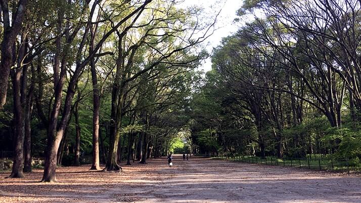 京都の世界遺産「下鴨神社」へ！アニメの舞台でもある古都京都の文化財