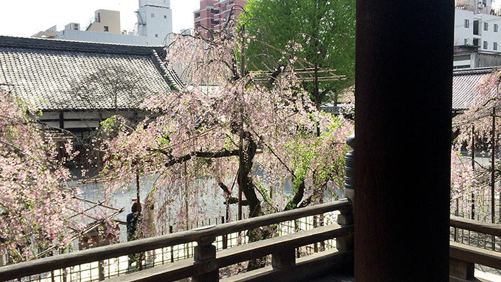 京都「本山佛光寺」境内にデザインストアがある古と新が融合する寺